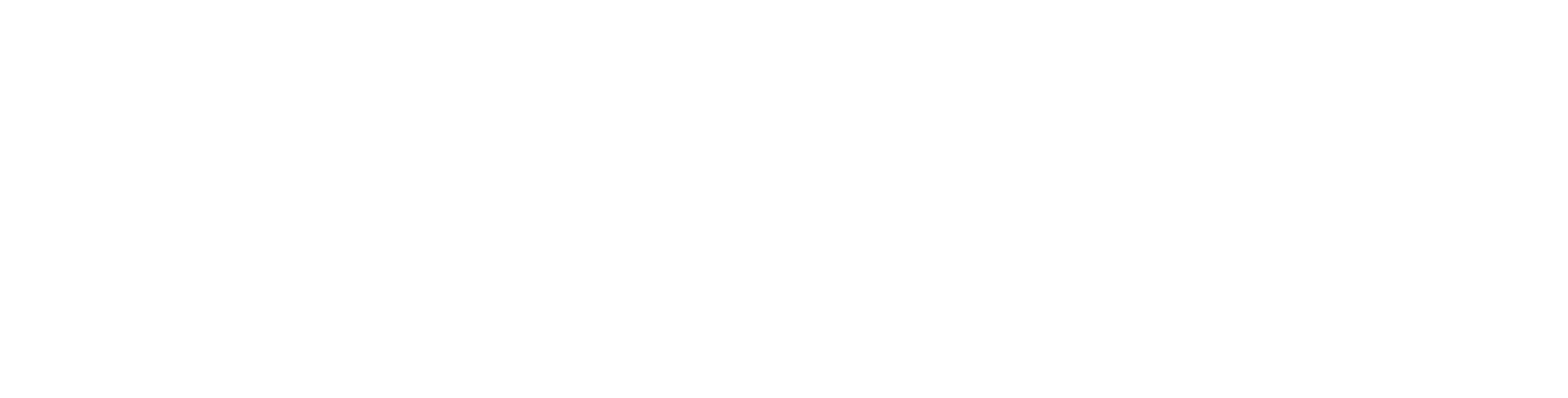 The Surf Shop